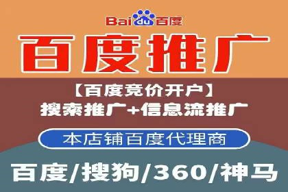 成功SEM服务案例分析报告